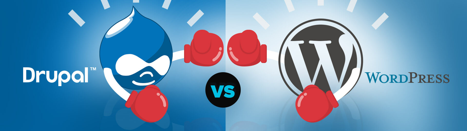drupal-vs-wordpress